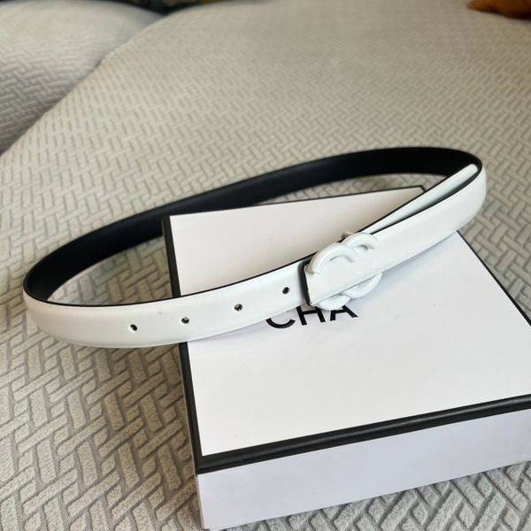 Elegance designers belt 5 Color clasp belts for women Luxury designer belt Vintage Pin needle Buckle Beltss 6colors Width 2.5 cm size 100-110cm Casual fashion nice
