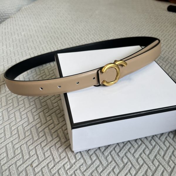 Designer Belt Women Cowskin Belts Fashion Simple Design for Woman Belts Classic Casual Buckle 2.5cm Waistband Must Have